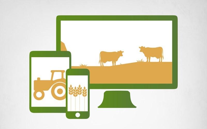 How Digital Platforms are Aiding Agri-SMEs Bounce AGRI-SMEs Bounce Back